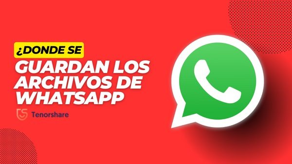 0287 donde se guardan los archivos de whatsapp