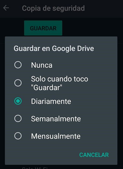 seleccionar el tiempo para guardar respaldo automáticamente